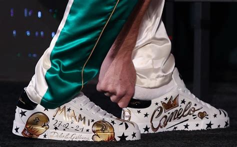 dolce gabbana cannolo|canelo alvarez shoes.